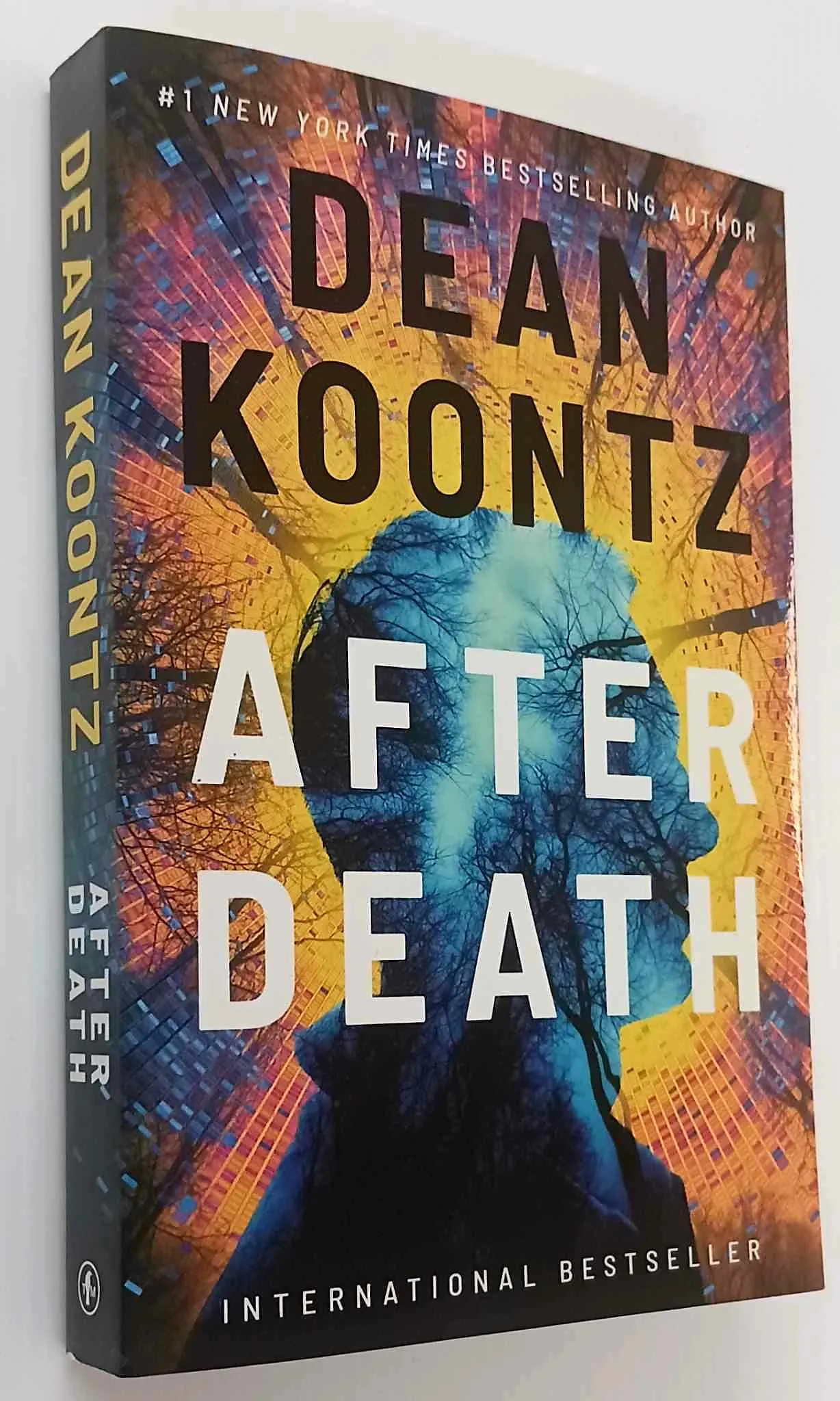 AFTER DEATH - Dean Koontz