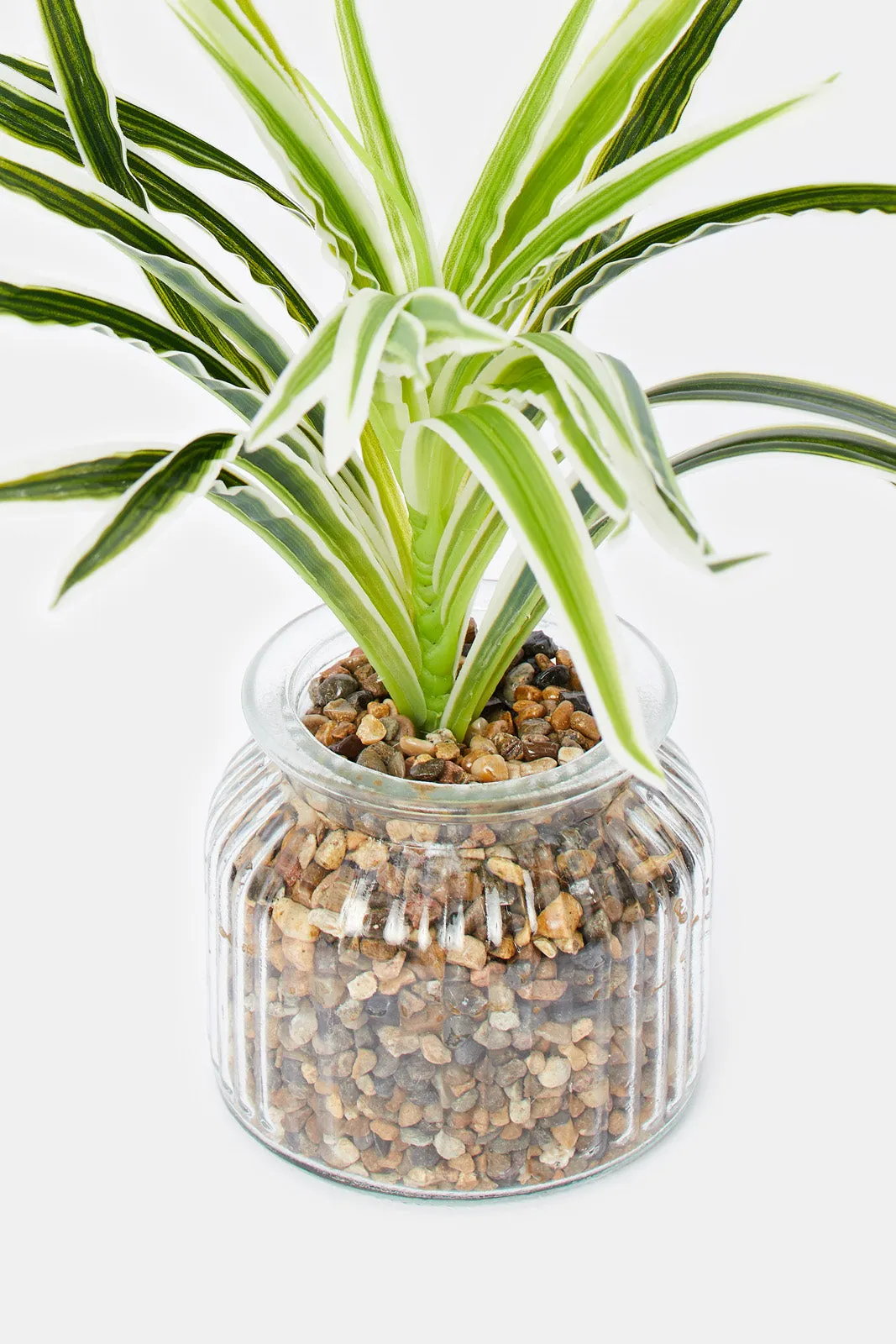 Artificial Plant In Clear Glass Pot