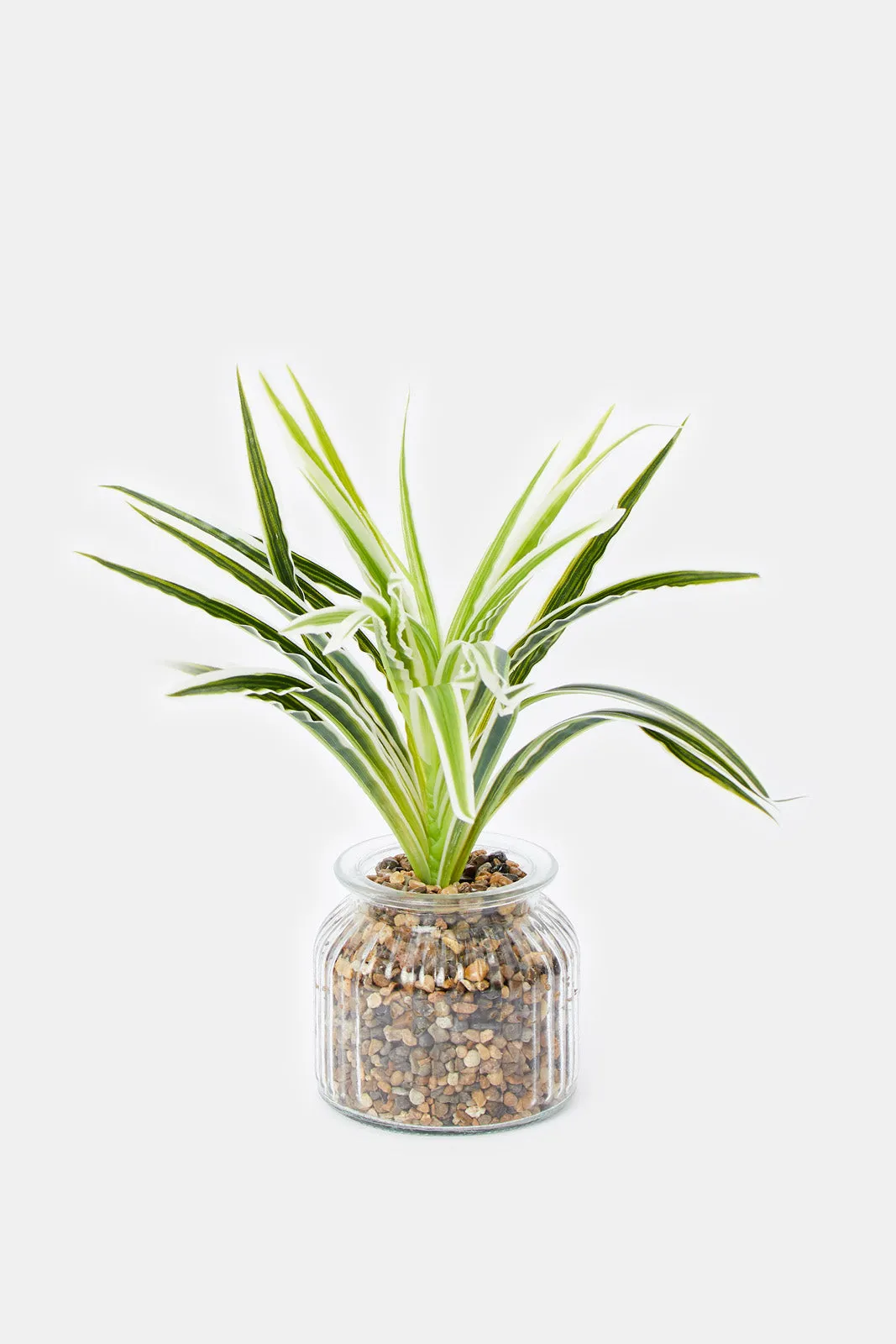 Artificial Plant In Clear Glass Pot