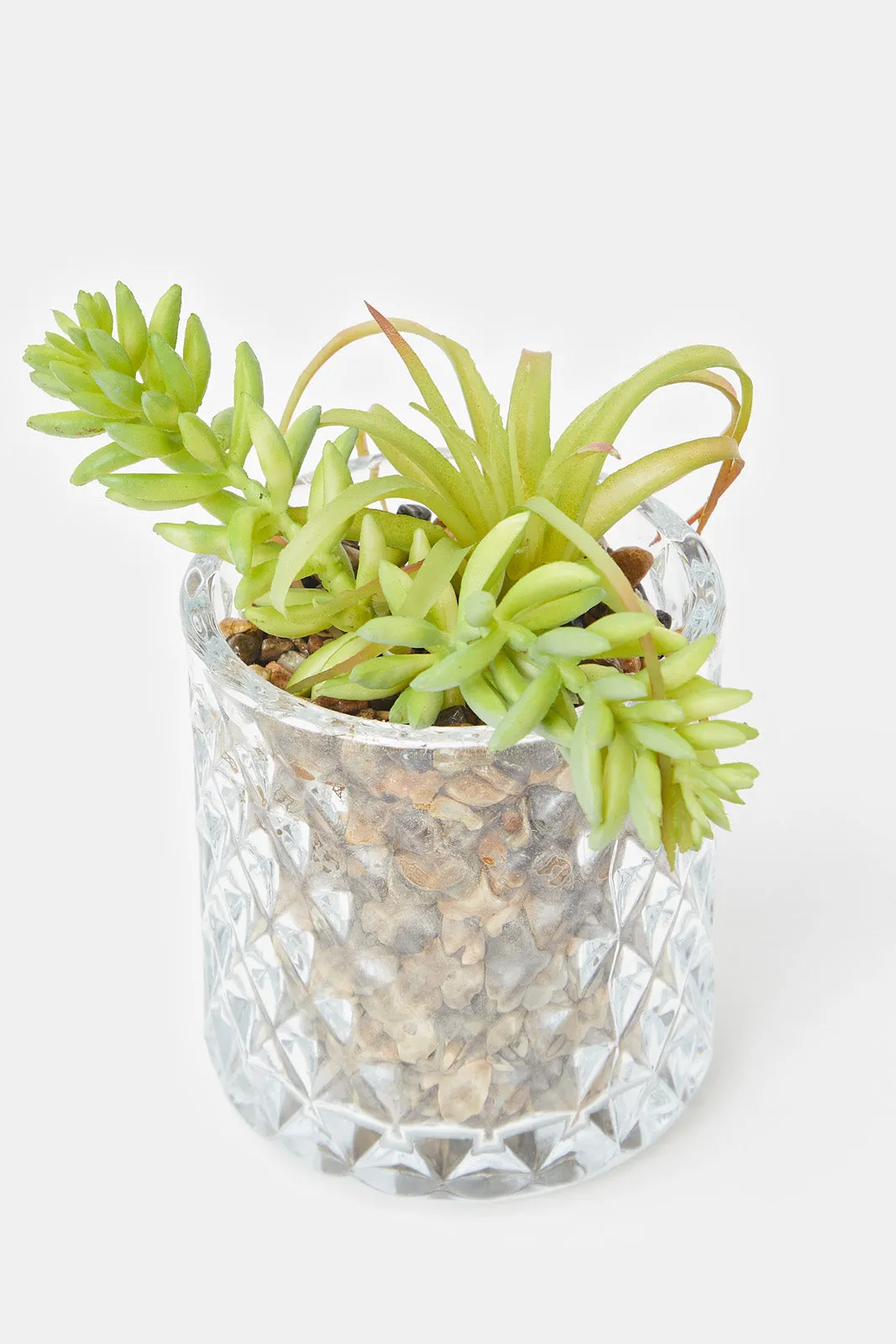 Artificial Suculent Plant In Glass Pot