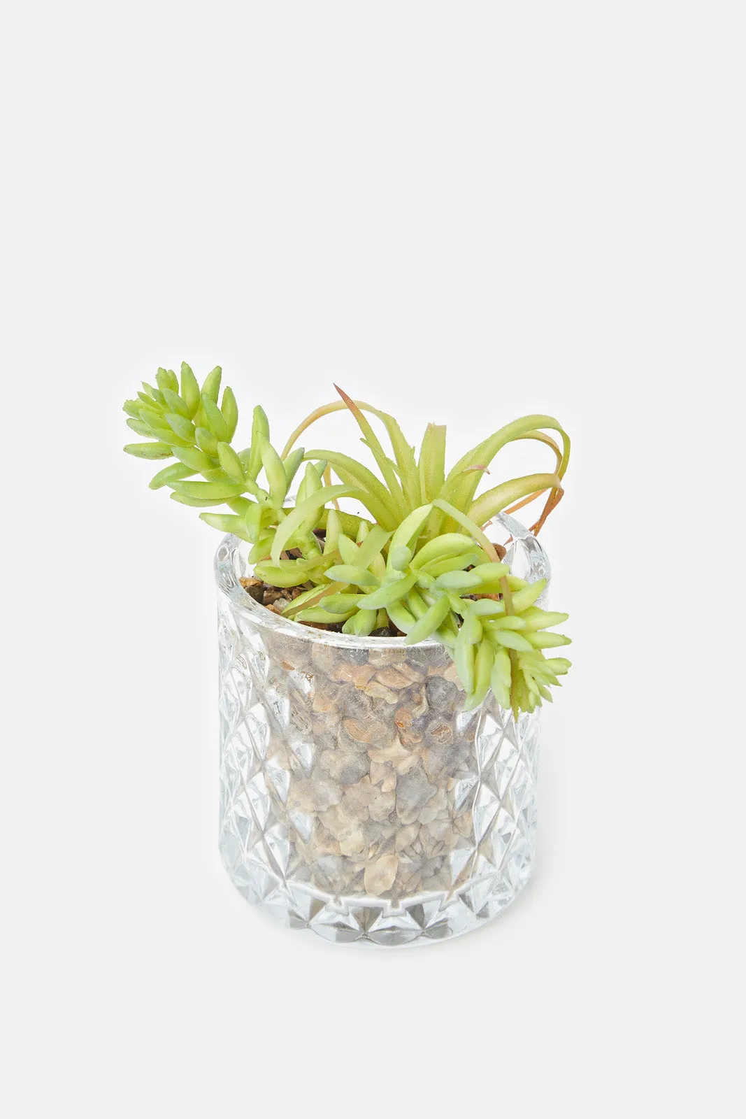 Artificial Suculent Plant In Glass Pot