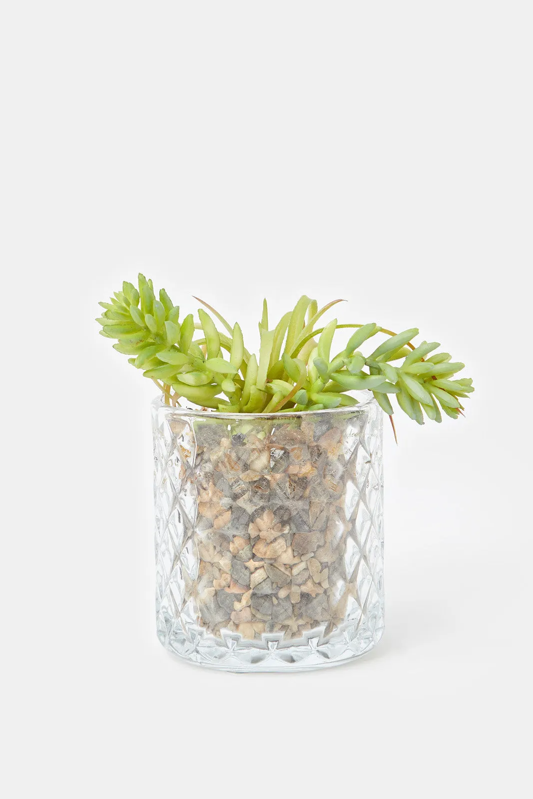 Artificial Suculent Plant In Glass Pot