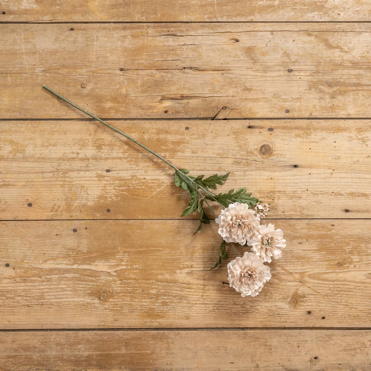 Autumn Cream 25.5" Scabiosa Spray