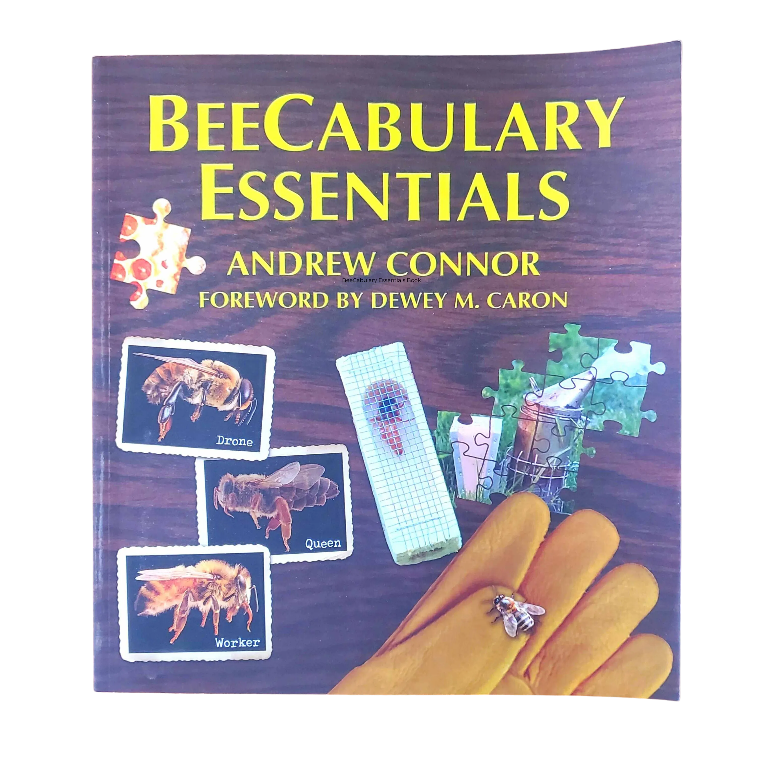 BeeCabulary Essentials Book