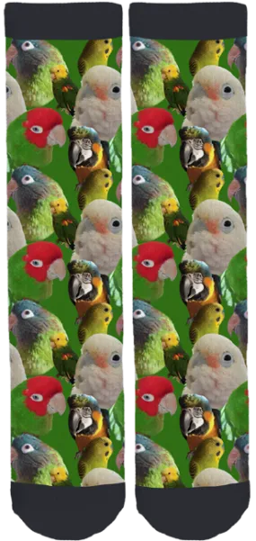 Capital Region Parrot Society Crew Socks