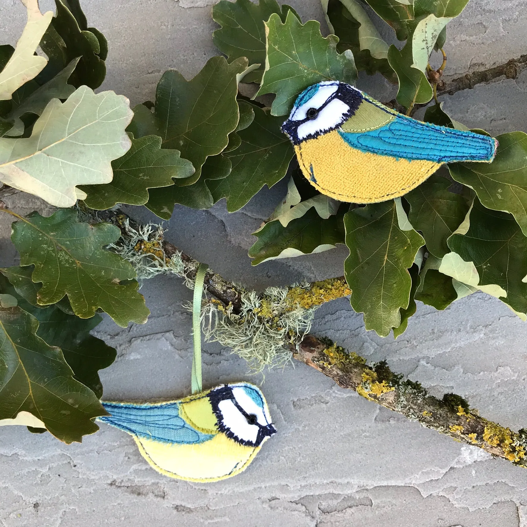 Hanging Blue tit