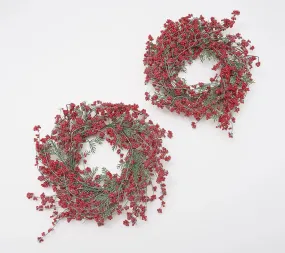 "As Is" Winter Garden Set of 2 18" Frosted Berry & Cedar Rings by Valerie Red,