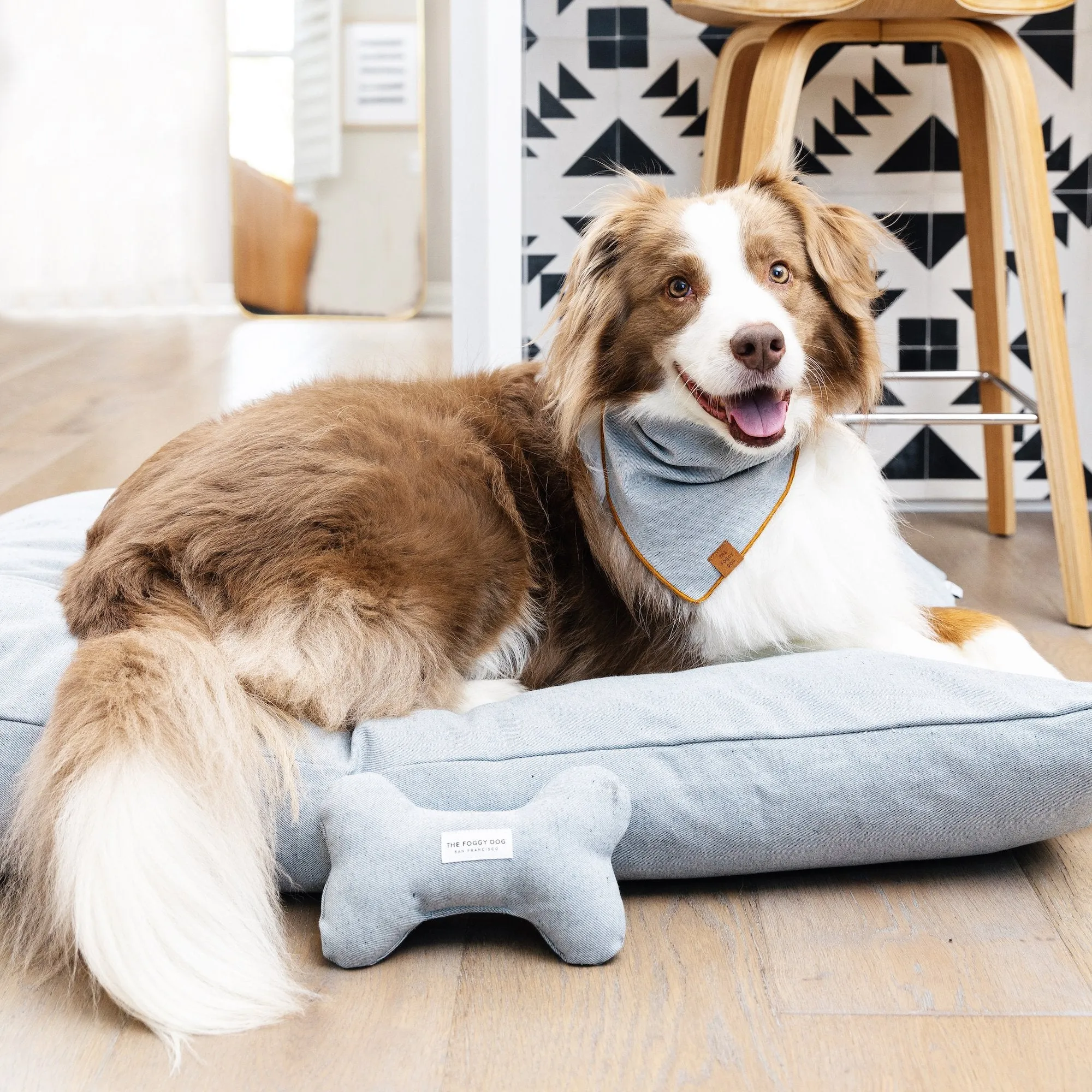 Upcycled Denim Dog Squeaky Toy